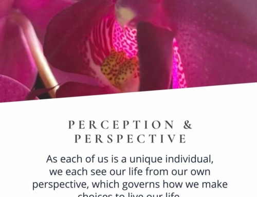 Perception & Perspective