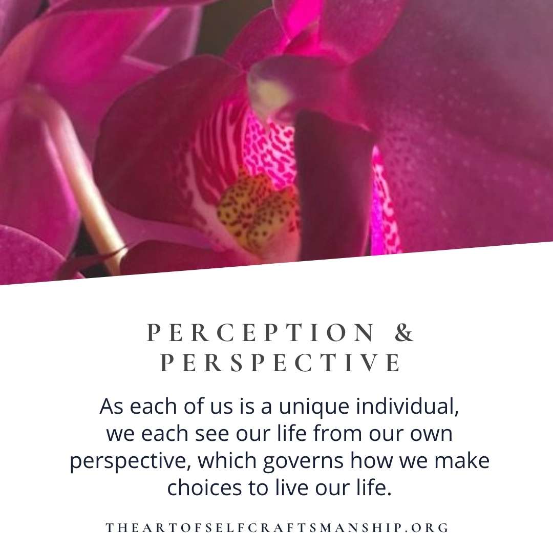 Perception & Perspective | THEARTOFSELFCRAFTSMANSHIP.ORG