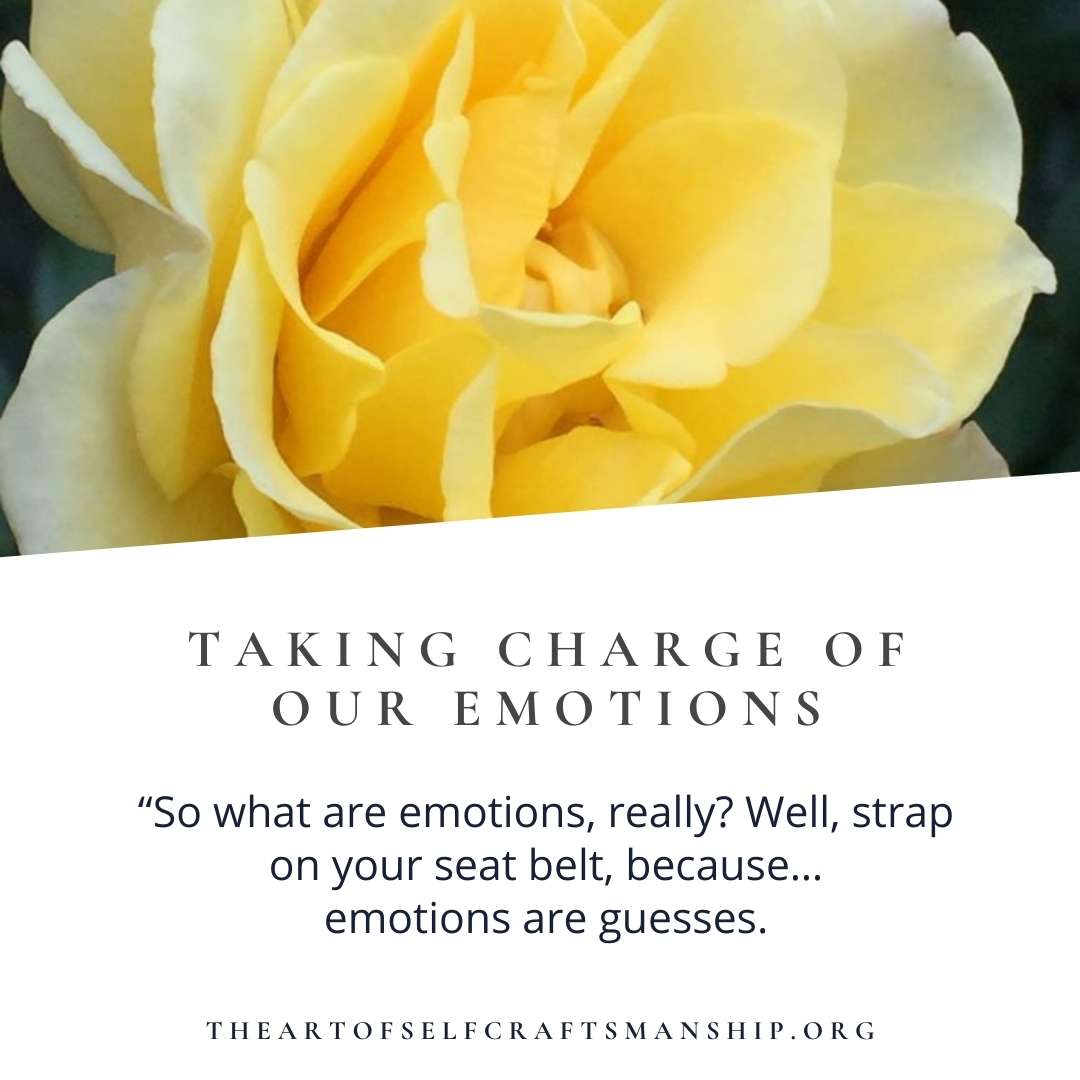 Taking Charge of Our Emotions | THEARTOFSELFCRAFTSMANSHIP.ORG