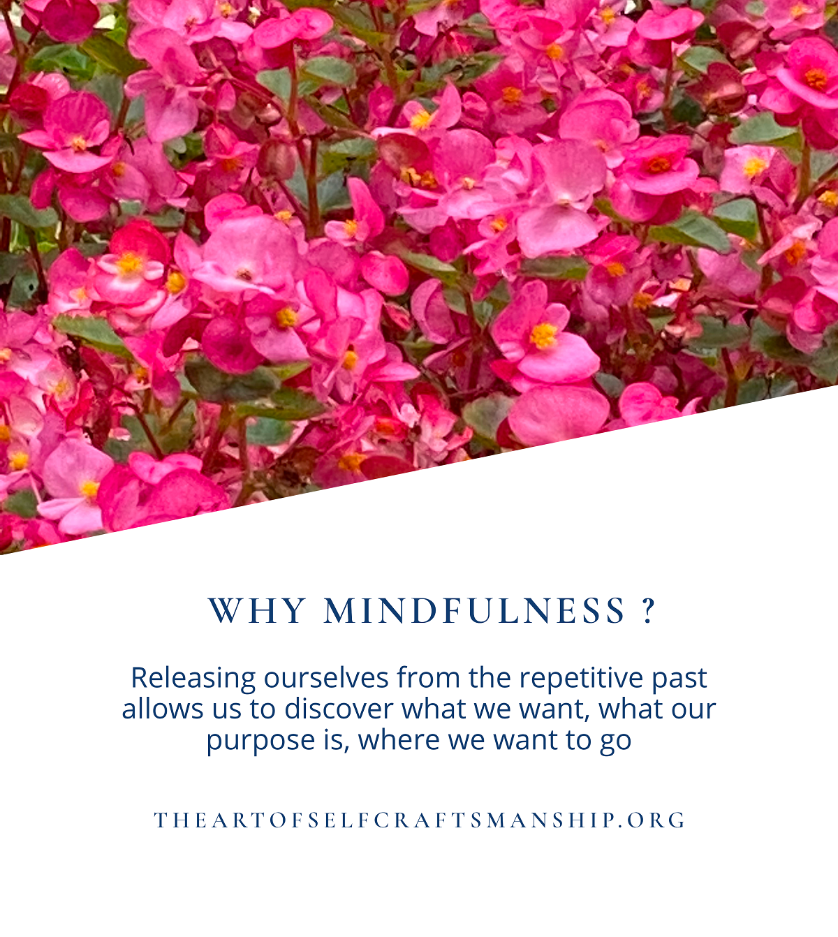 Why mindfulness? It takes discipline to make the decisions of what thoughts we choose to keep in our registry and which we choose to ignore.